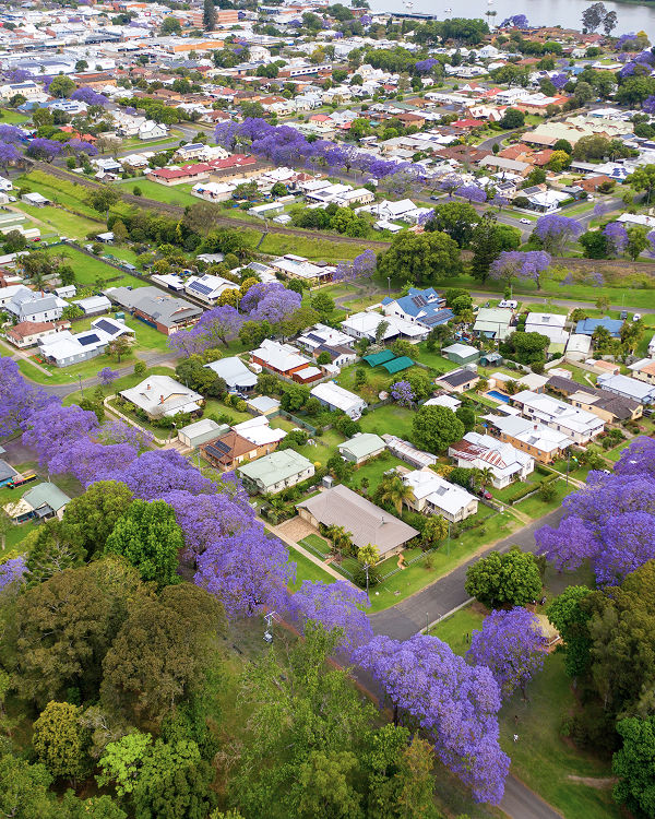 aerial view of South Grafton