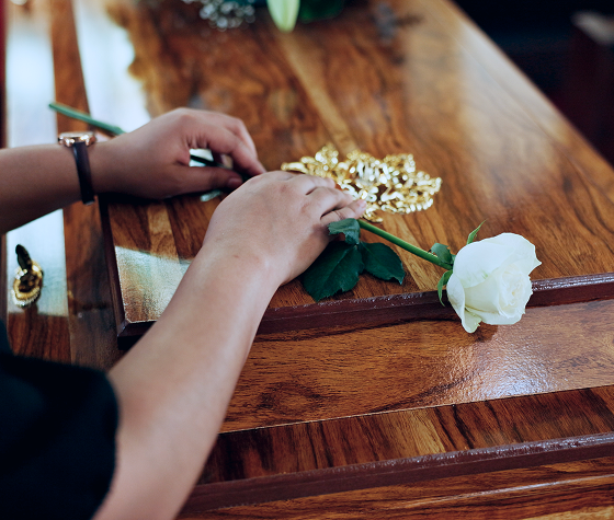 white rose on top of a coffin
